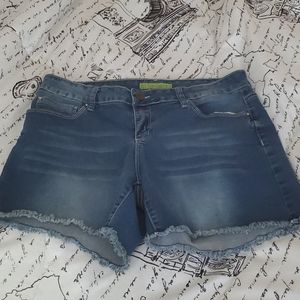 YMI City Shorts Cutoff Shorts